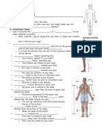 Anatomical Terms Notes