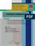 arteria-femoral.docx