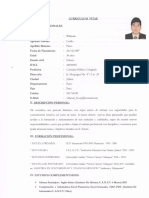 CV Wilfredo PDF