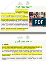 pace.pdf