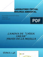 LABORATORIO VIRTUAL_ZULMA_DUITAMA.pptx