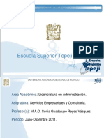Servicios_Empresariales_y_Consultoria.pdf