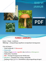 14962_BAB. 6 FUNGI(JAMUR).ppt