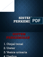 Sistem Perkemihan 