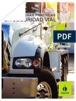 Guia de Buenas Practicas en Seguridad Vial PDF