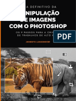 Guia Da Manipulacao de Imagens de Alto Nivel PDF