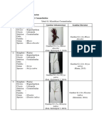 Hasil Pengamatan Commelinidae