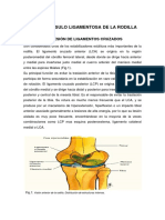 LIGAMENTOS.docx