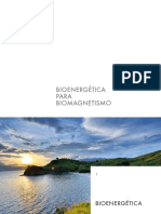 Bioenergética para Biomagnetismo