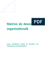 Matrice Dezvoltare Organizationala