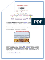 312599350 Anatomia Sistematica