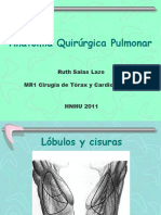 Anatomia Quirurgica