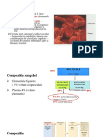 4.sange - Volemie - Echilibrul Hidric - Pres Osmotica - Oncotica - Eritropoieza - Eritrocite PDF