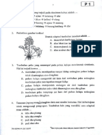 SOAL USBN IPA SD - Ok PDF