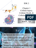 Celluar Adaptation, Injury, & Death - Biomedik 3