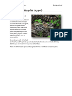 Tarea 2. Bología Animal.docx