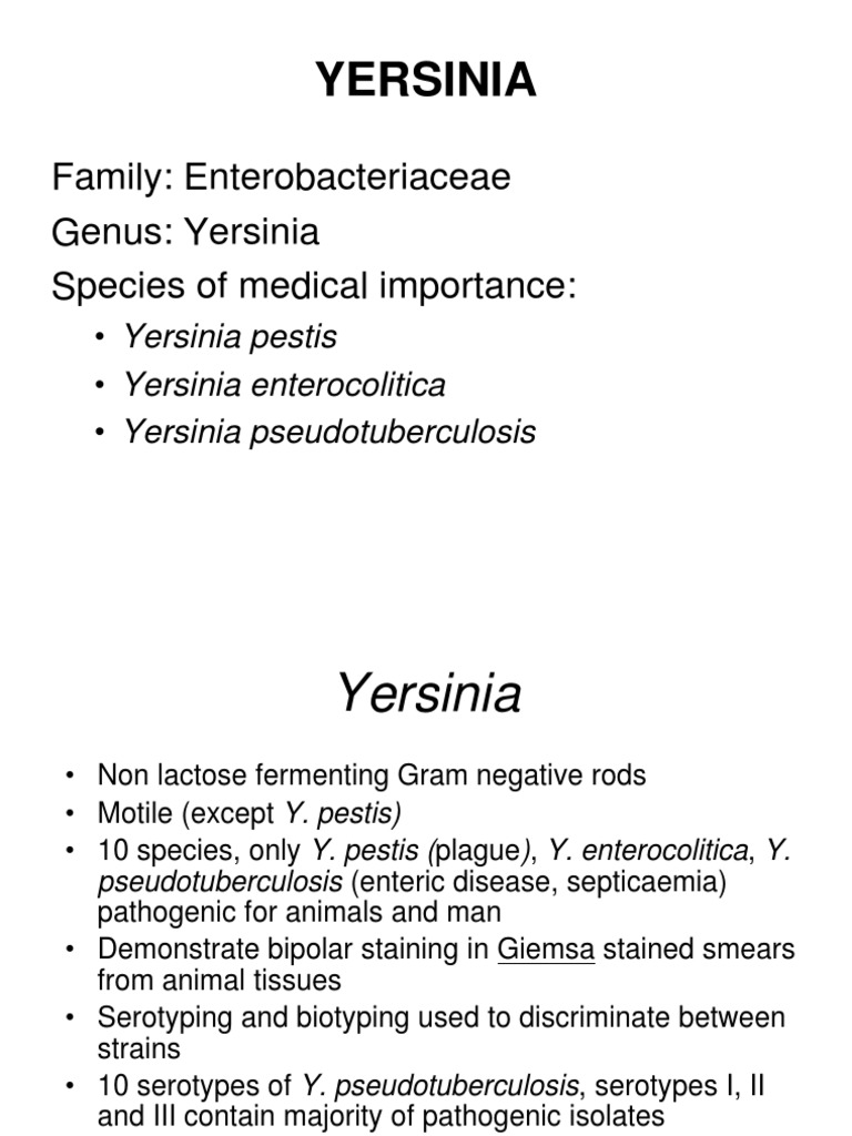 Yersinia PDF Infection Biology