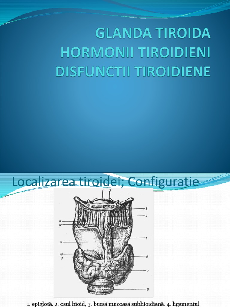 Biologie Xi - Proiect de Lectie - Tiroida | PDF