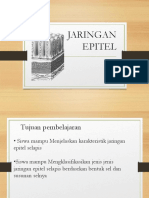 Jaringan Epitel