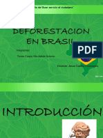 Deforestacion en Brasil