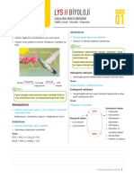 LYS Biyoloji PDF