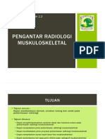 x Ray Interpretation Skills