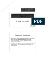 Sindrome vestibular.pdf
