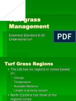 Hort 2 Turf Grass 6