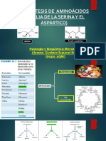 Biosíntesis de Aminoácidos