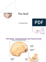 The-Skull by Dr. Phan Sandeth