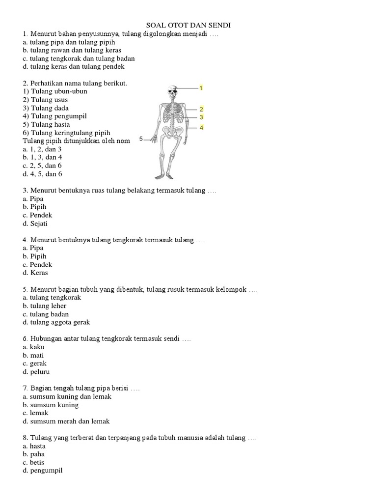 Soal Otot Dan Sendi 1 Pdf