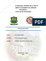 trabajo de patologia.docx