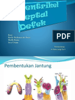 82259944-Ventrikel-Septal-Defek.pptx