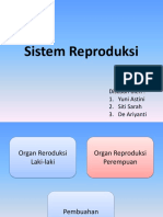 Sistem Reproduksi