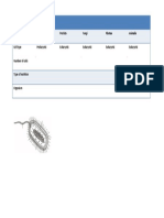 Ejecicios Unicelular Pluricelurales.