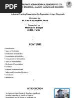 Bridge Grafting and Inarching Damaged Fruit Trees | PDF | Grafting | Trees