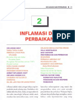 Bab 2. Inflamasi Dan Perbaikan