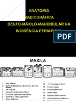 TRABALHO DE ANATOMIA DENTO-MAXILO-MANDIBULAR - Estágio USP Noturno PDF