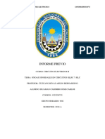 INFORME PREVIO 2.docx