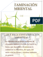 Contaminación Ambiental