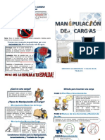 Diptico Manipulación