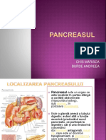 Pancreasul