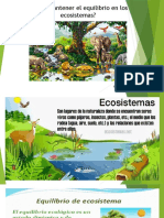 ECOSISTEMA