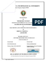 Biometric Internship PDF