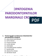 Patogenia  Parodontopatiile marginale