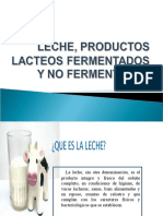 Leche y Productos Lacteos 2010 1
