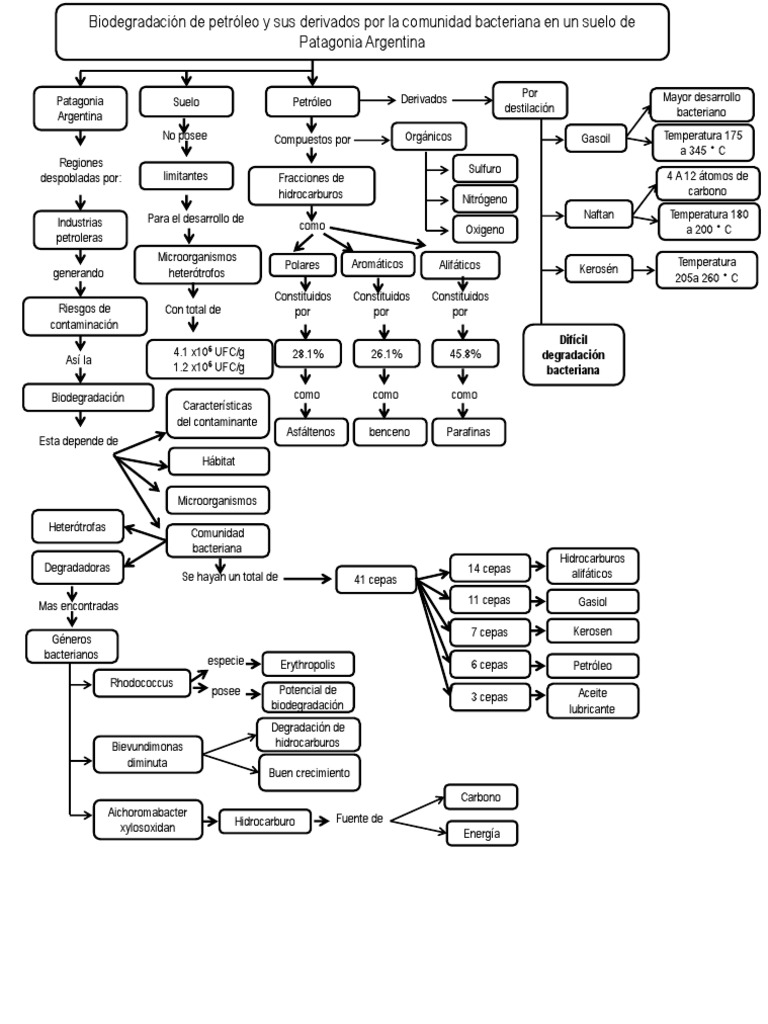 MAPA CONCEPTUAL BIODEGRADACION DEL PETROLEO