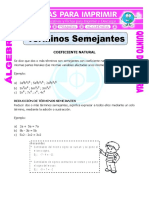 Terminos Semejantes Con Coeficiente Natural para Quinto de Primaria