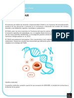 Genetica y Tdah PDF