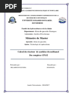 calcul du reacteur.pdf